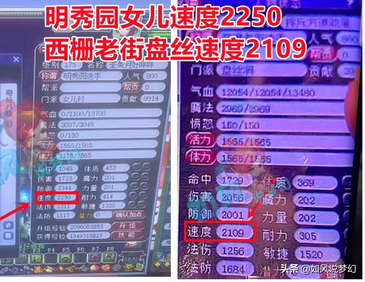 梦幻西游：珍宝阁猪圈分析群雄决赛乱敏，2狗认为要修改神佑几率