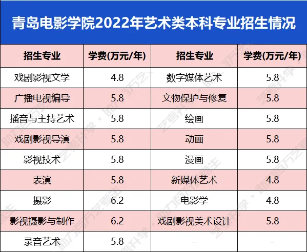 青岛电影学院