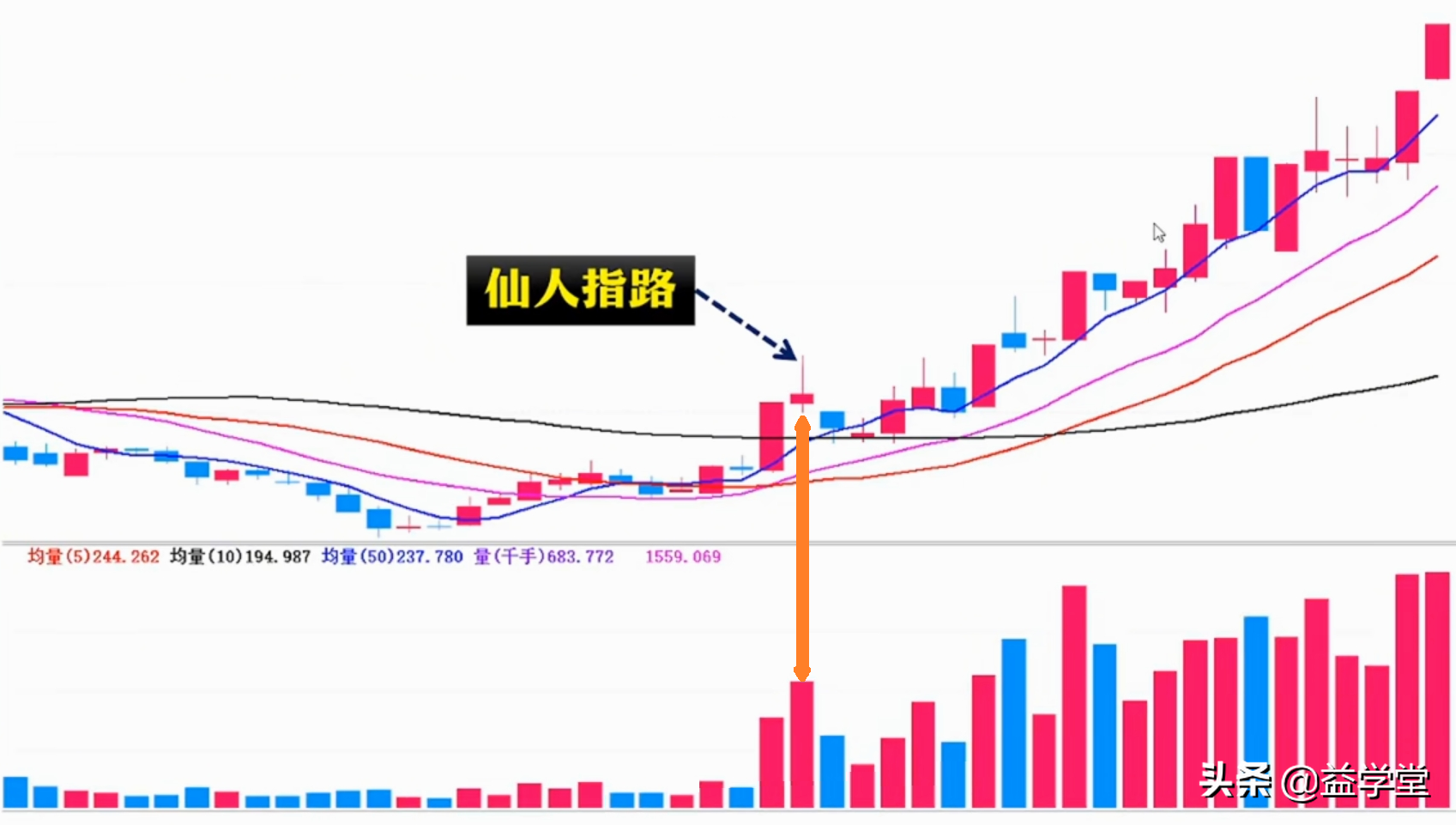 学会这招仙人指路,你的股票离盈利就不远了!小白股民更要看