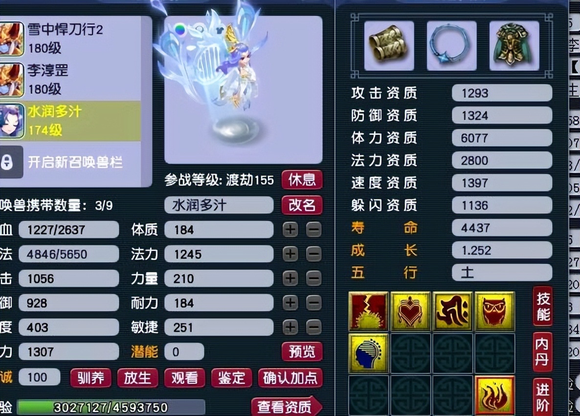 梦幻西游：把钱花在刀把上的五开，装备很唬人，人物属性却很拉垮