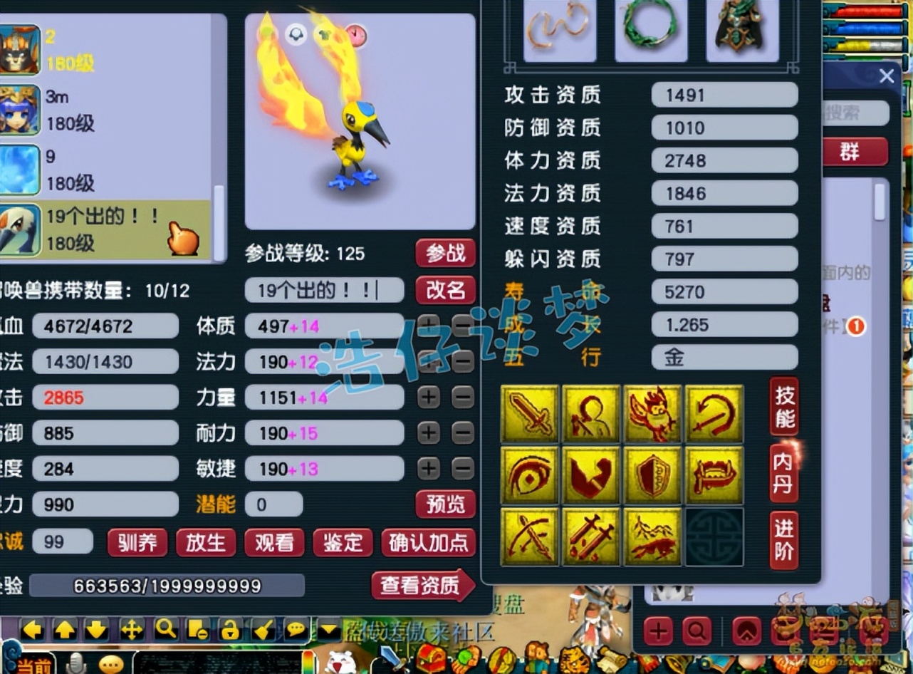 梦幻西游：王谢175凌波城首曝光，8只神马聚齐，又是一个天花板？