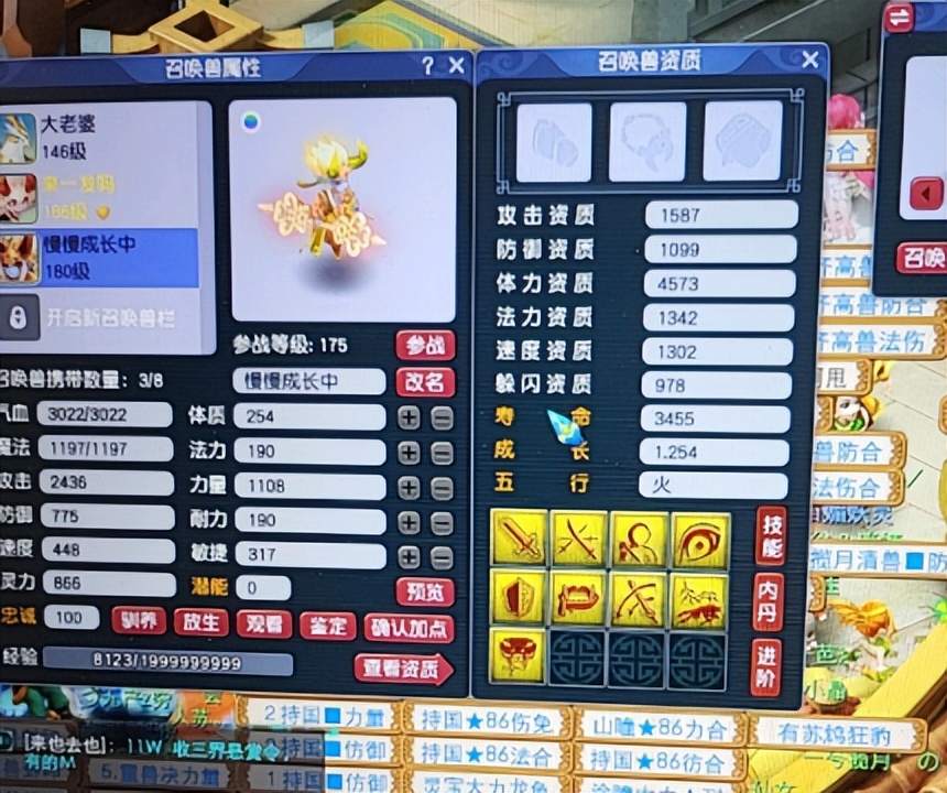 梦幻西游：新区开区第十一天，打造区内第一宝宝，全场都被秀到