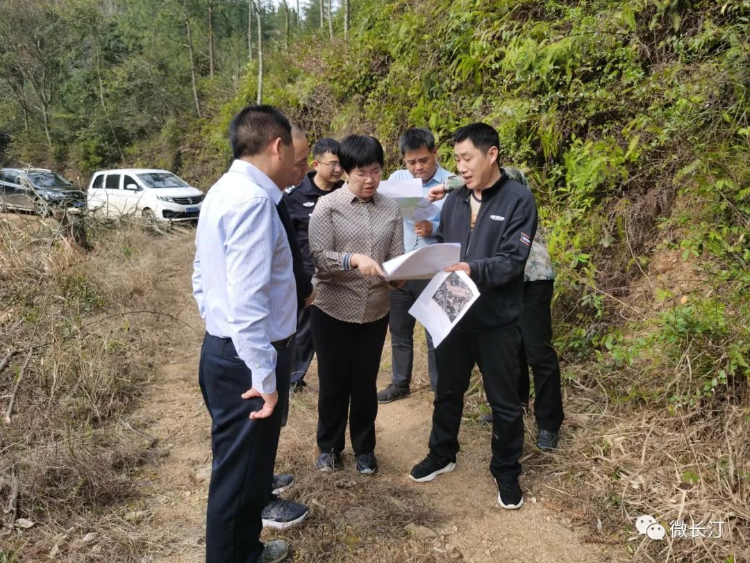 吕莉一行先后来到"两所一队两中心,长汀县红色文化实践基地项目点