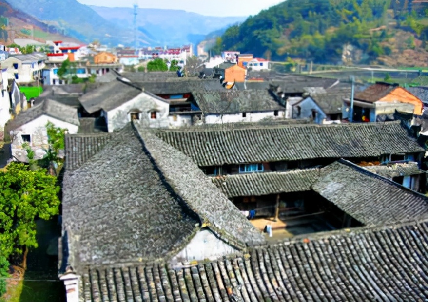 屿南岗油菜花景区,夏家古树群,陈家三台,屿东彩石村,桑洲老街,火山