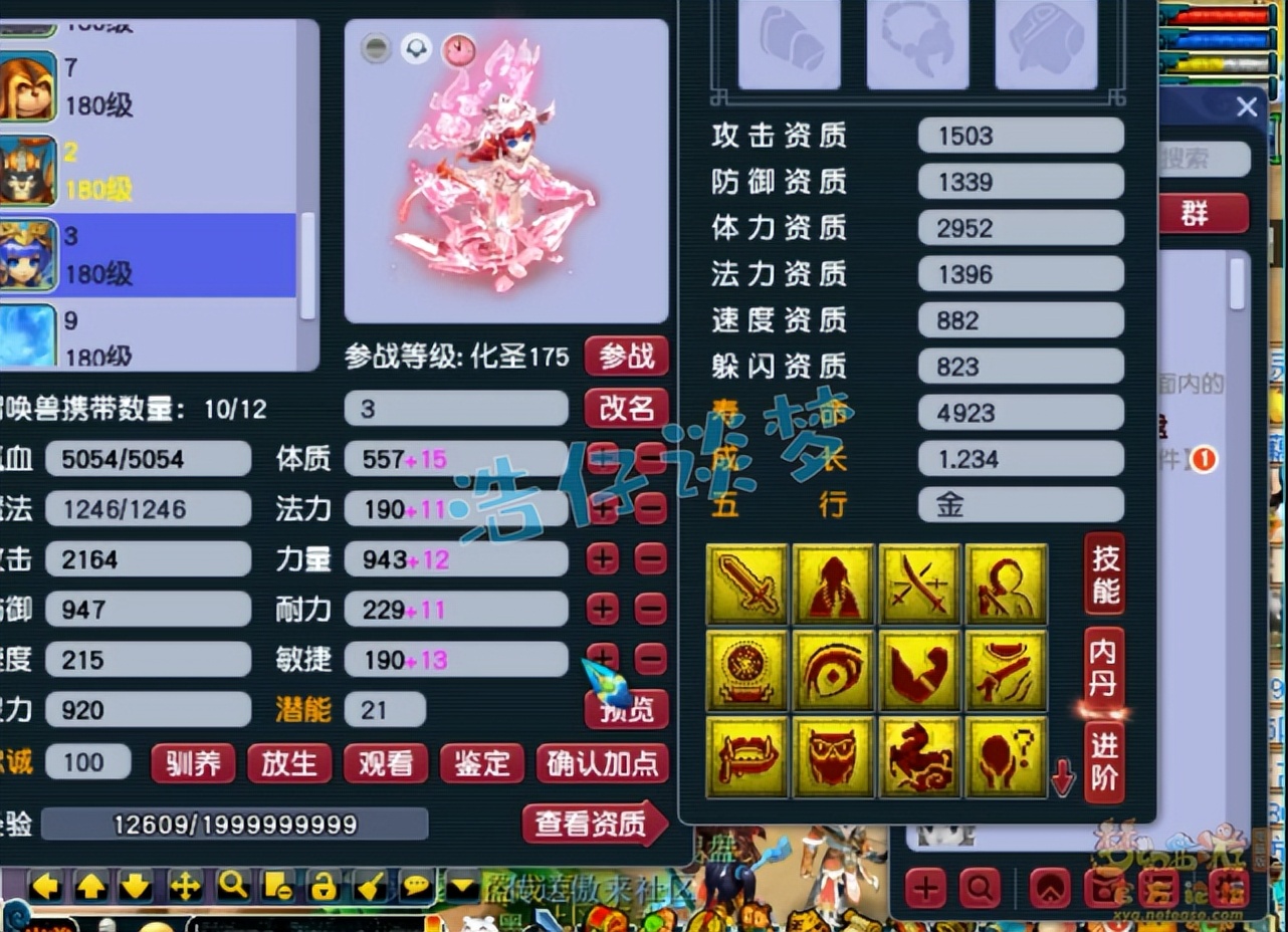 梦幻西游：王谢175凌波城首曝光，8只神马聚齐，又是一个天花板？