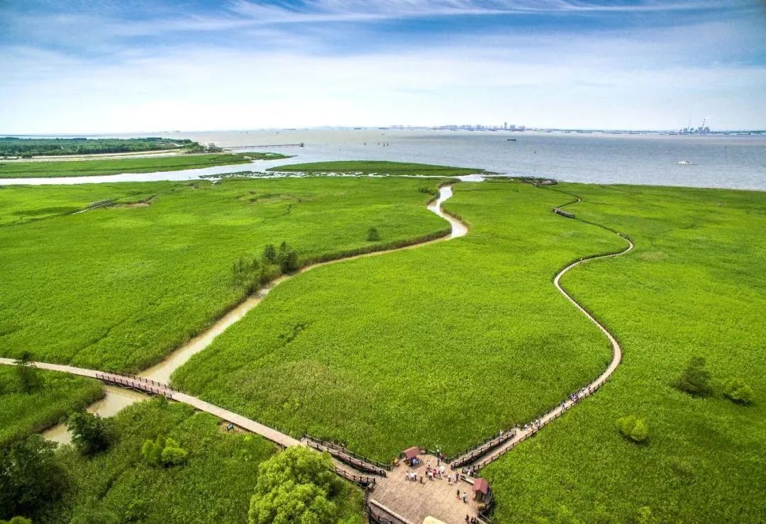 西沙湿地公园崇明西沙湿地公园