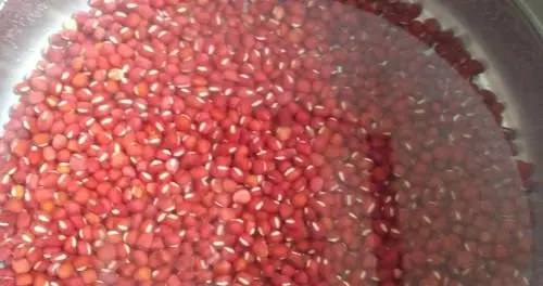 出紅豆短視頻教程（為什么紅豆不能做成豆芽） 出紅豆短視頻教程（為什么紅豆不能做成豆芽） 運營百科