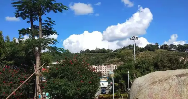 怎么拍散步短視頻教程（如何用攝像機拍出人在車流里慢走的鏡頭） 怎么拍散步短視頻教程（如何用攝像機拍出人在車流里慢走的鏡頭） 運營百科