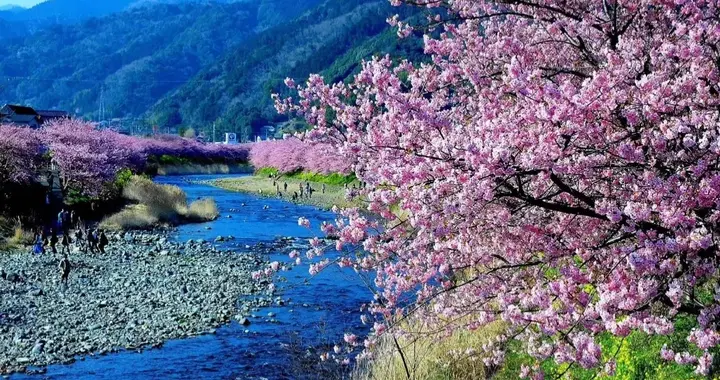 乐平市:假和尚医院门口算命,专骗老人上钩, 你怎么看?