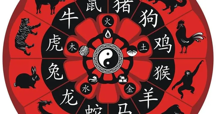 生肖配对算命(属龙与什么生肖最合得来)