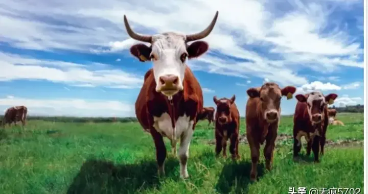 八字算命子女(八字上说父母是孩子的贵人,到底是父母是孩子的贵人好呢,还是孩子是父母的贵人好呢)