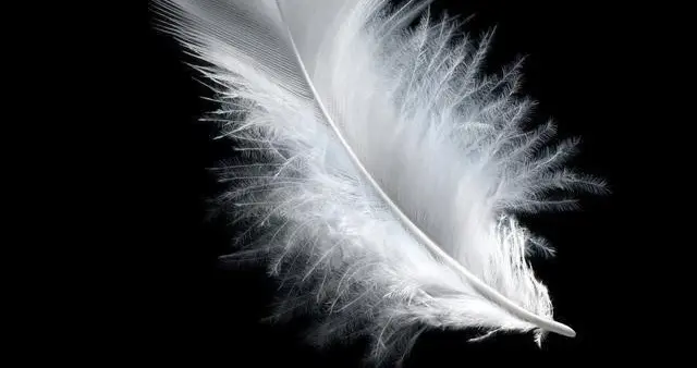 网上算命可信吗(算命的可信吗)