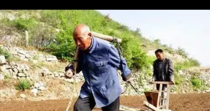 如何看四柱八字(四柱预测中的四柱是指什么)