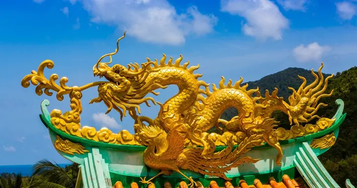 免费算命桃花运(生肖龙最信任的人是谁)