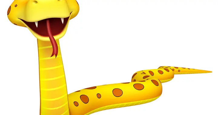 八字四柱和多(生肖蛇和生肖虎谁更好相处?可以合作吗)