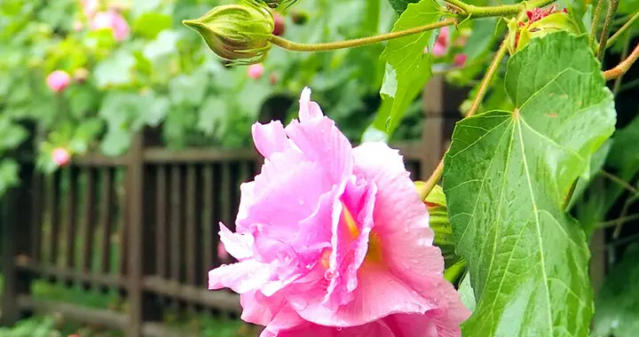 哪一刻让你终于意识到了这就是命?