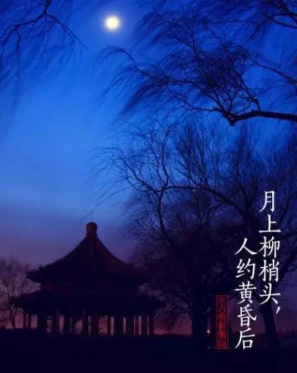 数字成语什么海升平，四海升平对应的成语（三五月圆夜 火树银花开）