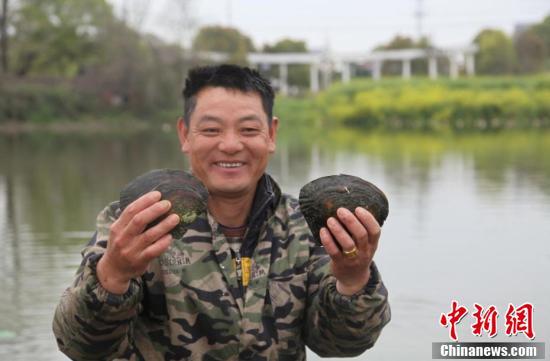 淡水珍珠产地在哪里，江西省淡水珍珠养殖基地