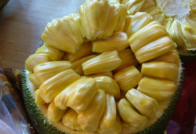 菠萝蜜的胶粘在手上怎么洗掉，菠萝蜜汁水粘手上怎么洗（菠萝蜜为什么那么贵）