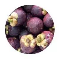 怀孕能吃山竹吗前三个月，怀孕前三个月禁吃的水果有哪些（孕妇能吃山竹吗）