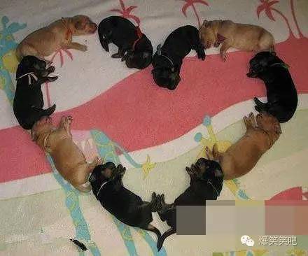 qq群怎么设置管理员，QQ群里怎么设置管理员（当过最大的官也就是ＱQ群管理员了）