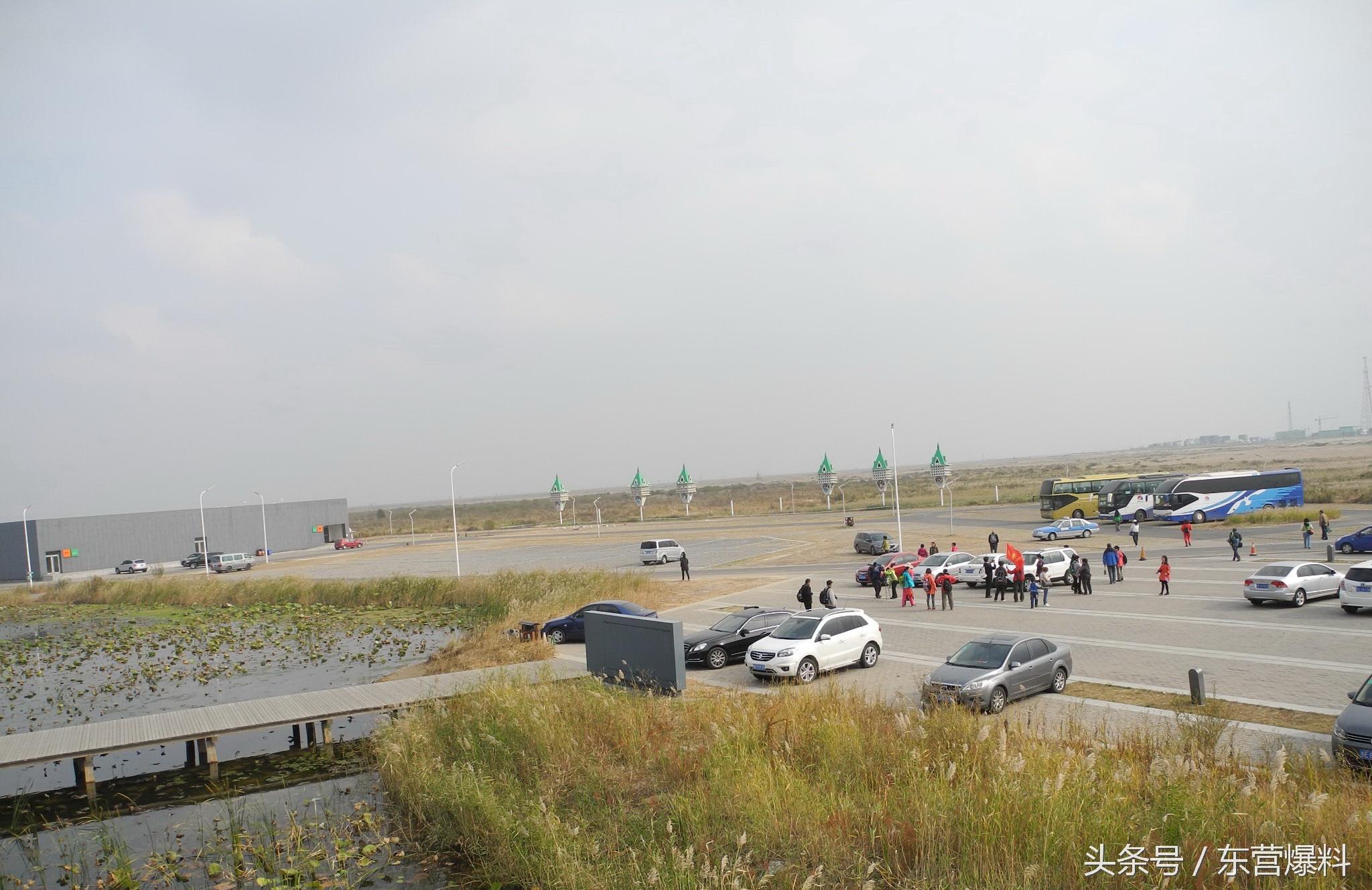 东营黄河口湿地公园一日游攻略，东营黄河口湿地公园一日游攻略图片（玩转东营之黄河口生态旅游区详细攻略）