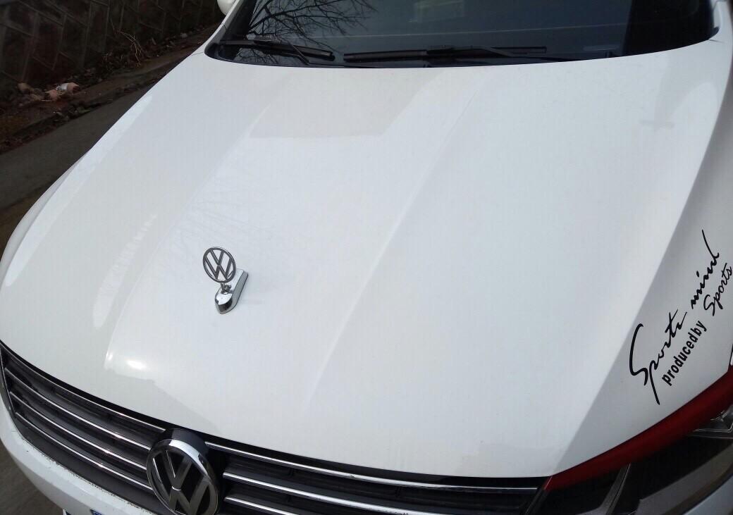 大家觉得大众立标按车上好看吗_帕萨特车友圈_懂车帝