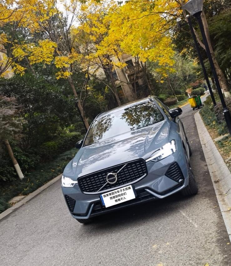 运动版配闪银灰,yyds_沃尔沃xc60车友圈_懂车帝