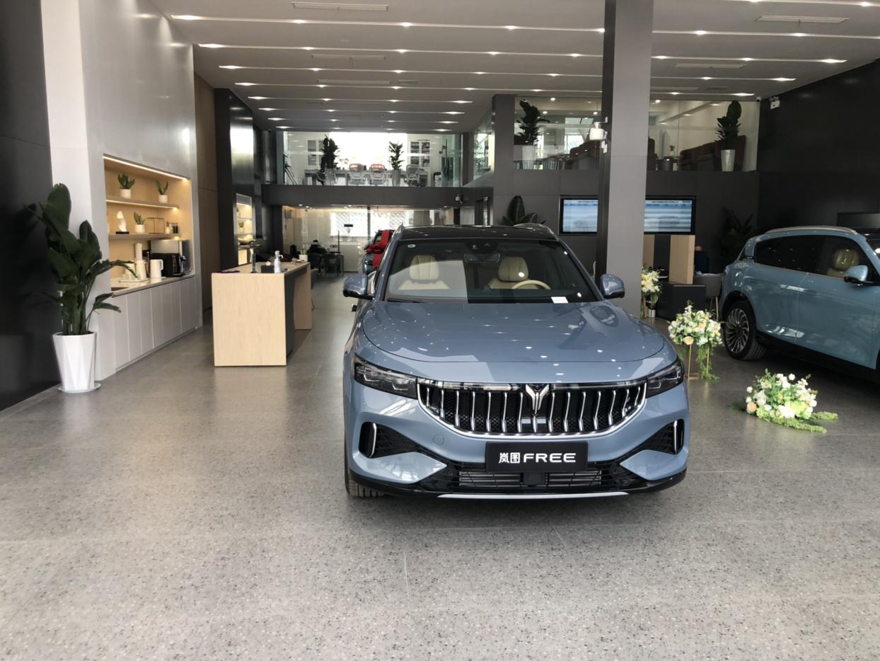 超大马力真实电耗_岚图free车友圈_岚图汽车李傲梅_懂车帝