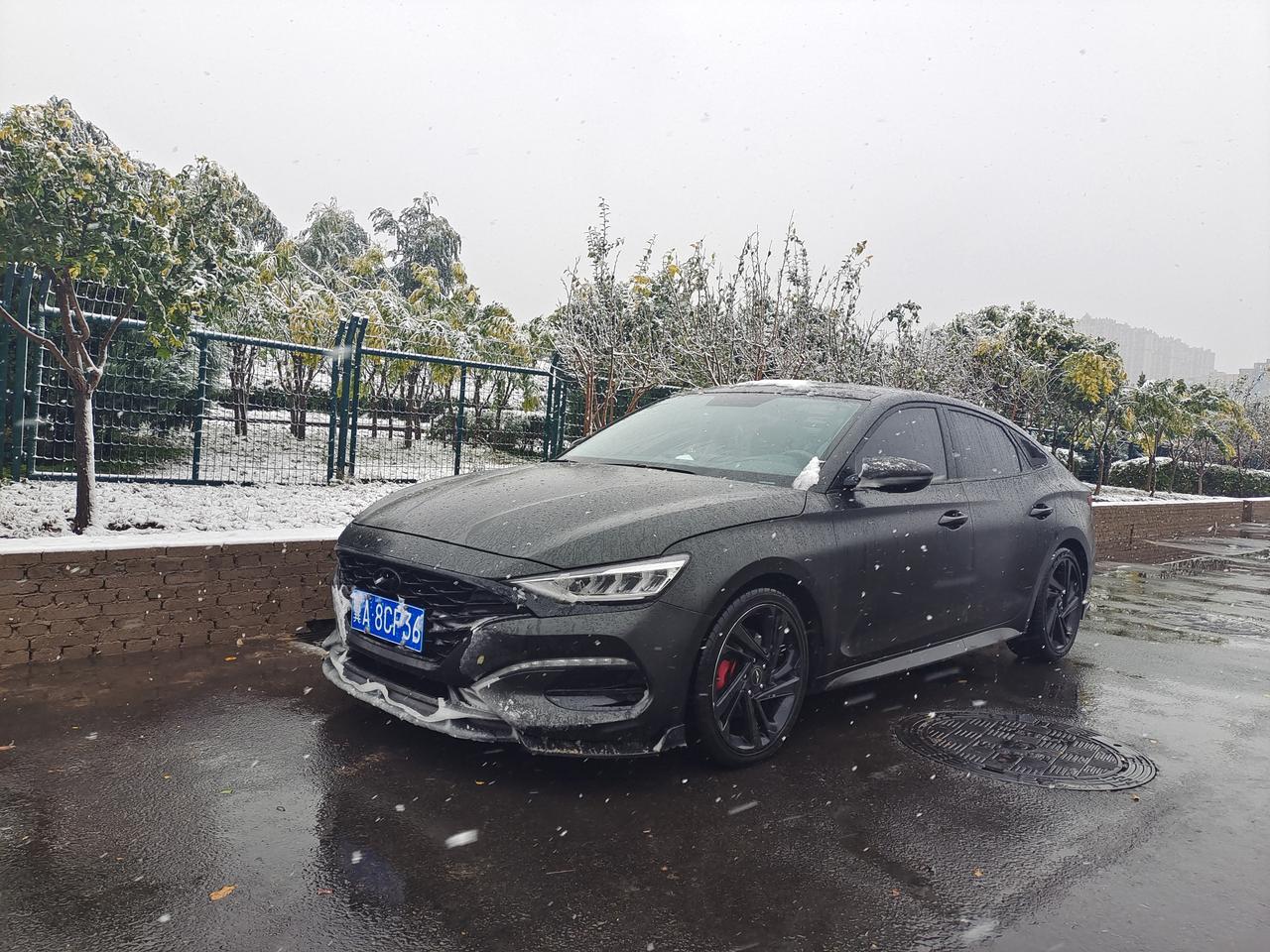 菲斯塔黑武士封上有图