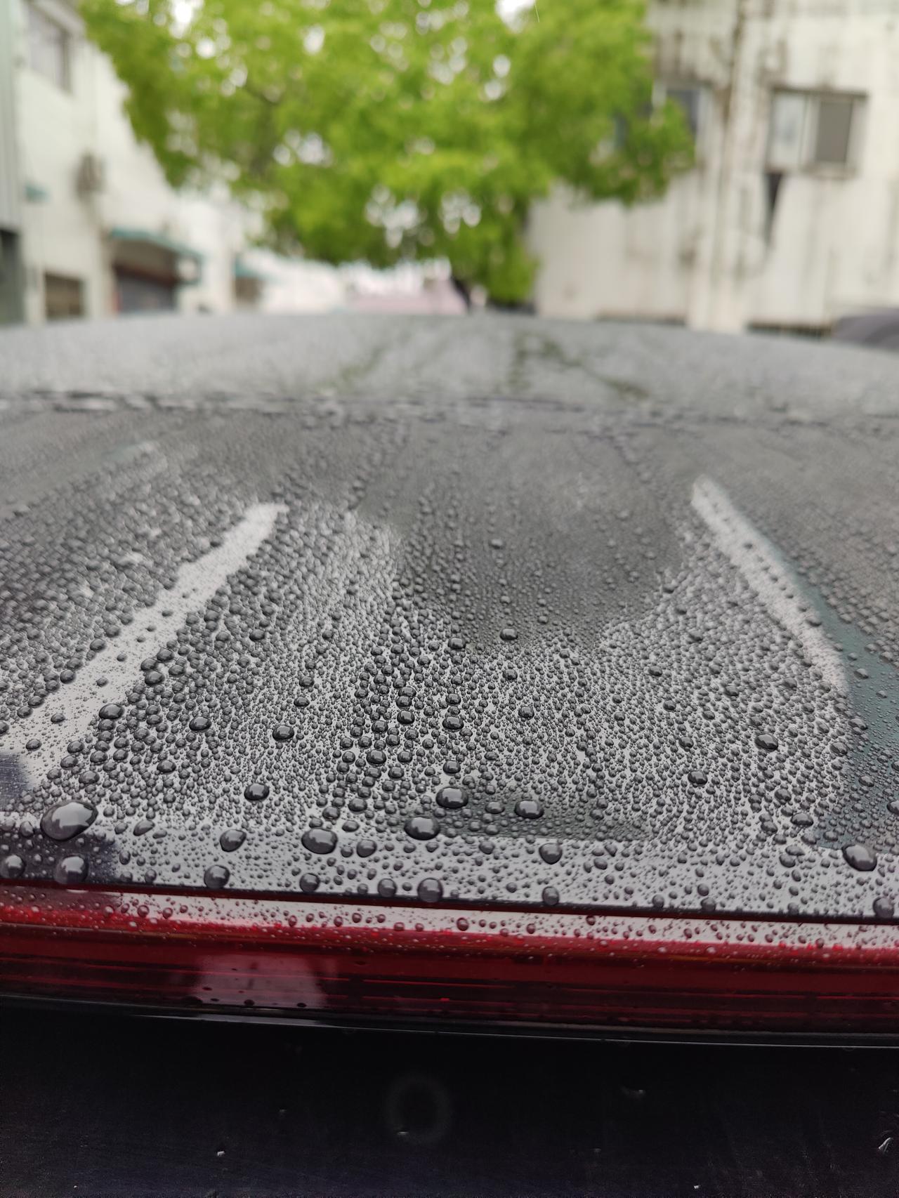 蒙蒙细雨的图片真实的图片