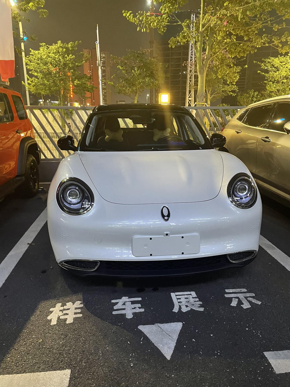 欧拉好猫黑白双色