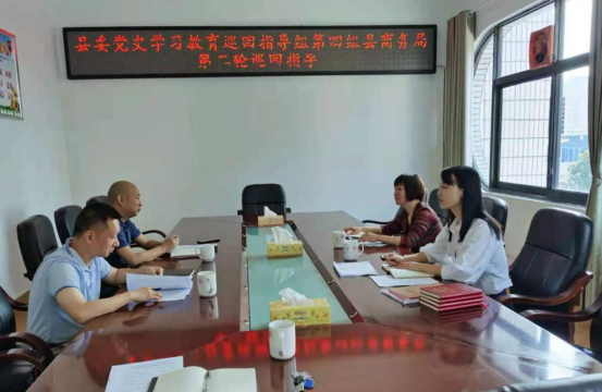 县委第四巡回指导组到湘潭县商务局指导党史学习教育工作