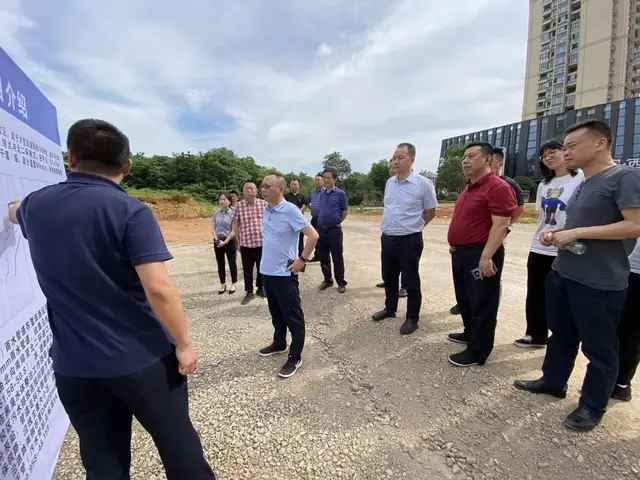 副市长向敏调研黑臭水体治理情况