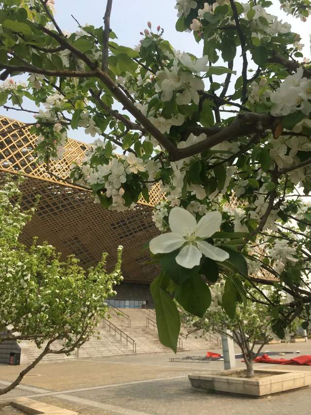 @天软新生，开学季期待与你在天津理工大学校园相遇