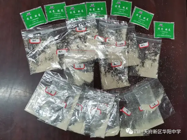 华阳中学高2022届——“传统发酵技术的应用”学生实践活动