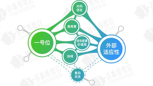 今年夏天,高管团队一起到哪里去学习?