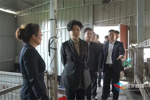 张迎春到湘乡调研乡村振兴工作