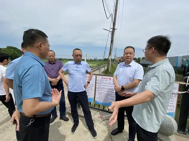 副市长向敏调研黑臭水体治理情况