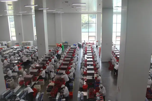 澎湃“红色引擎” 崛起产业新城丨天易经开区高标准党建引领高质量发展纪实