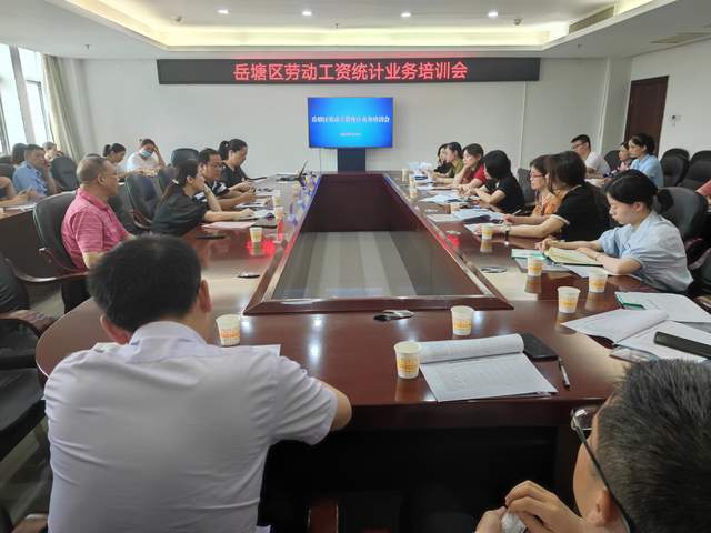 岳塘区统计局组织召开劳动工资统计培训会