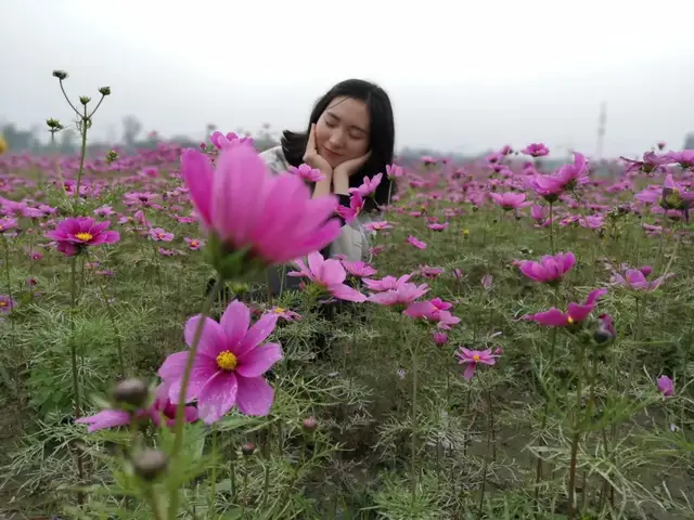 成都天府新区宁安幼儿园——世间美好，与妈妈环环相扣