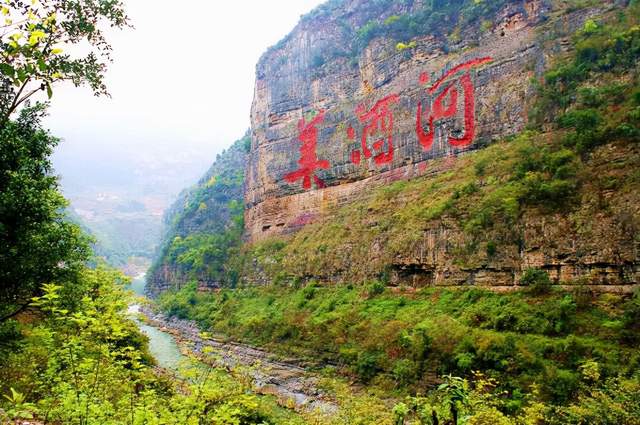 初旭：千里赤水河（散文）(图5)