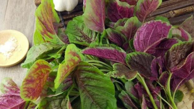 夏天多吃这些蔬菜，清热去火，含钙量比牛奶还高