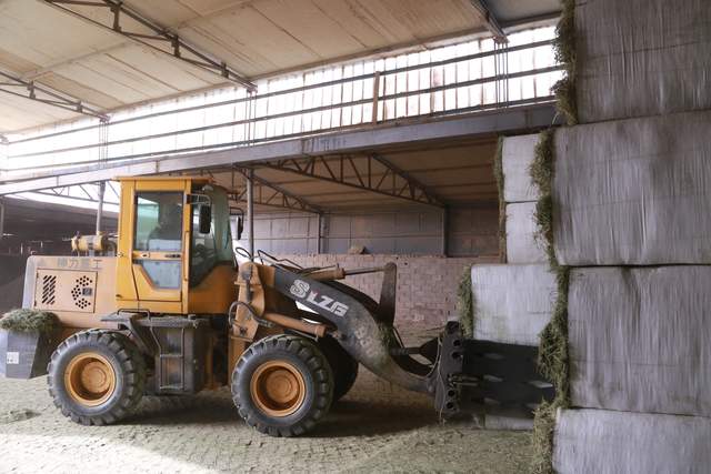 敦煌市牧草加工助农增收