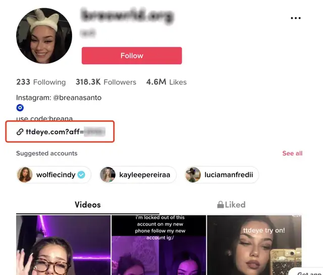 旺季来袭｜TikTok 红人营销一站式教学