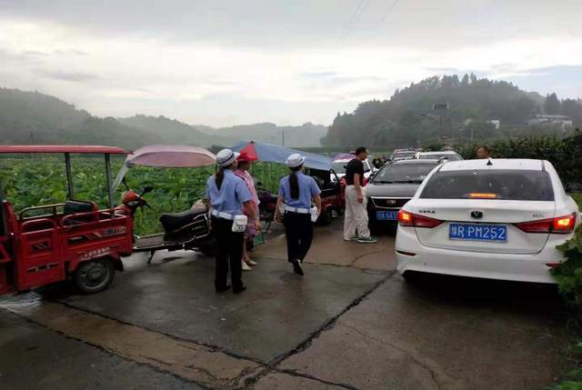 护航简阳平泉街道太阳村第四届荷花节