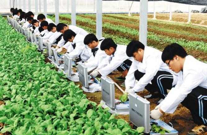 研究生几年毕业（研究生两年和三年制的区别）