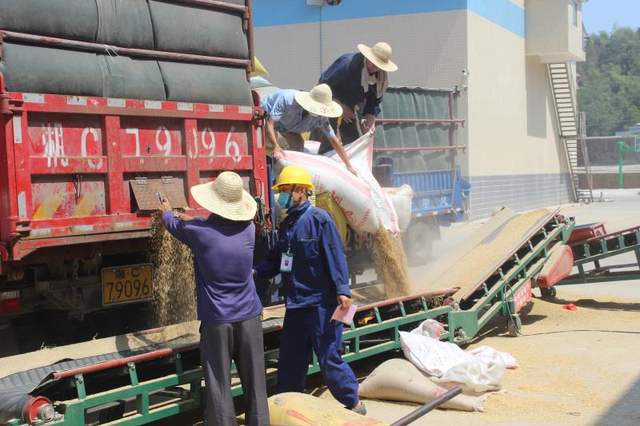 农发行湘乡市支行：学史力行担当使命 擦亮“粮食银行”品牌