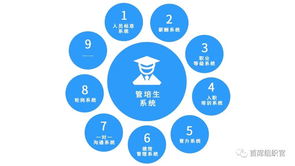 左谦&房晟陶:HR如何提升组织洞察力?